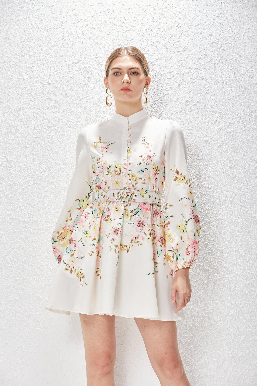 Spring Summer Stand Collar Single Breasted Lantern Sleeve Positioning Printed Dress