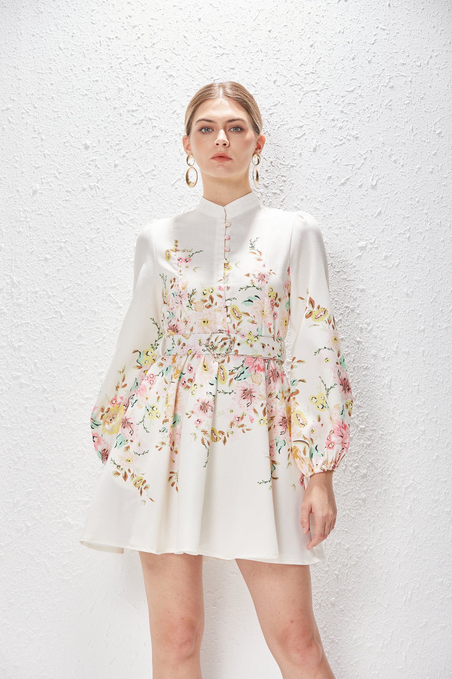 Spring Summer Stand Collar Single Breasted Lantern Sleeve Positioning Printed Dress