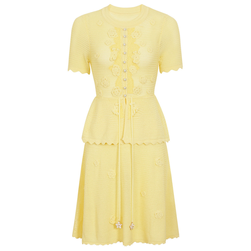 Summer Fashionable Knitted Heavy Embroidery Slimming Short Sleeve Dress for Women