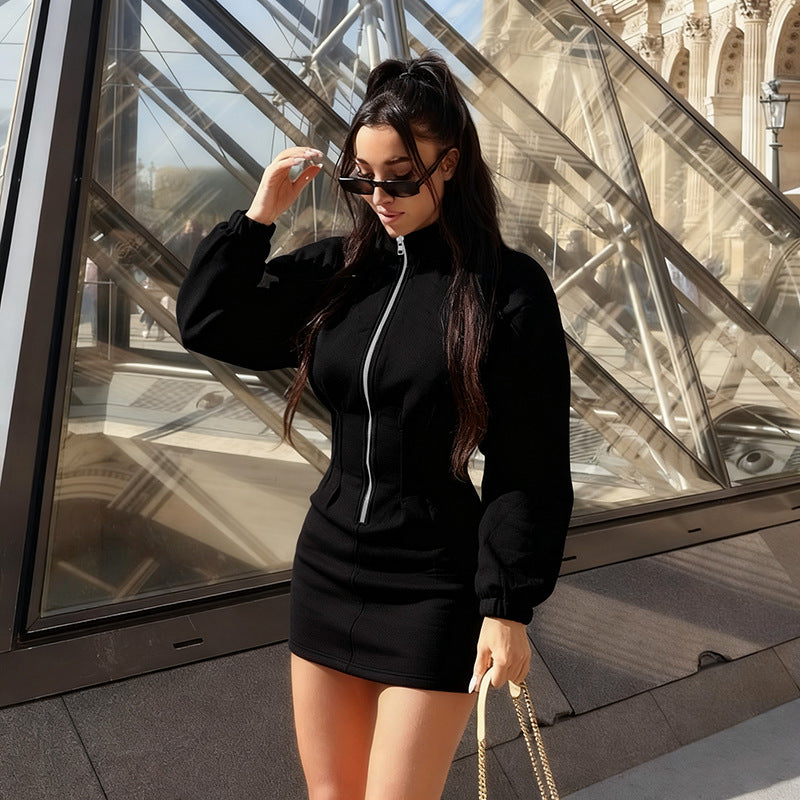 Ropa de mujer Otoño Invierno Color sólido Casual Cuello alto Manga larga Cremallera Cintura Ajustada Suéter Vestido Corto